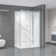 Dreamwerks Bristol 48" W X 32" D X 79.2" H Framed Rectangular Reversible Shower Kit 
