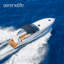 Mildew Resistant Watercraft Cover By SereneLife-69909598