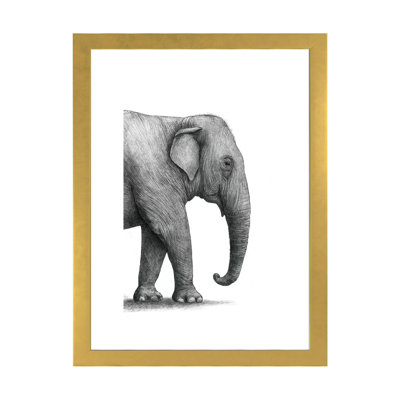 «Elephant Study» par Terry Fan - impression