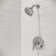 Weller Dual Function Shower Faucet