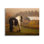 Cheval donnant sur une grange par PHBurchett