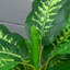 95cm Faux Evergreen Plant in Pot-196501990