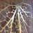 Metal Leaf Wall Decor-1354265992-1354265997