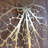 Metal Leaf Wall Decor-1354265997-1354265992