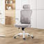 High Back Ergonomic Mesh Office Chair-718262169