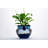 Talavera 12"H Blue Floral Talavera Ceramic Chata Planter