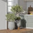 Signature Genthner 1-Piece Fiberstone Tapered Planter For Indoor/Outdoor-1608764906-1608764904