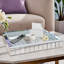 Glass Tray
