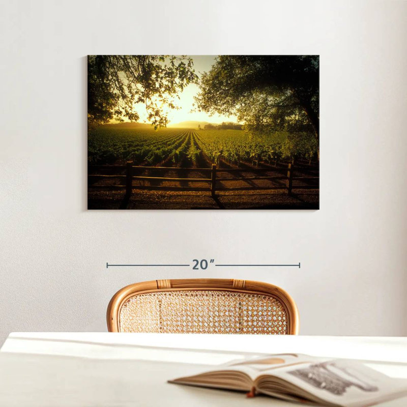 Alvord Oakville Vineyard, H 16 po x l 24 po