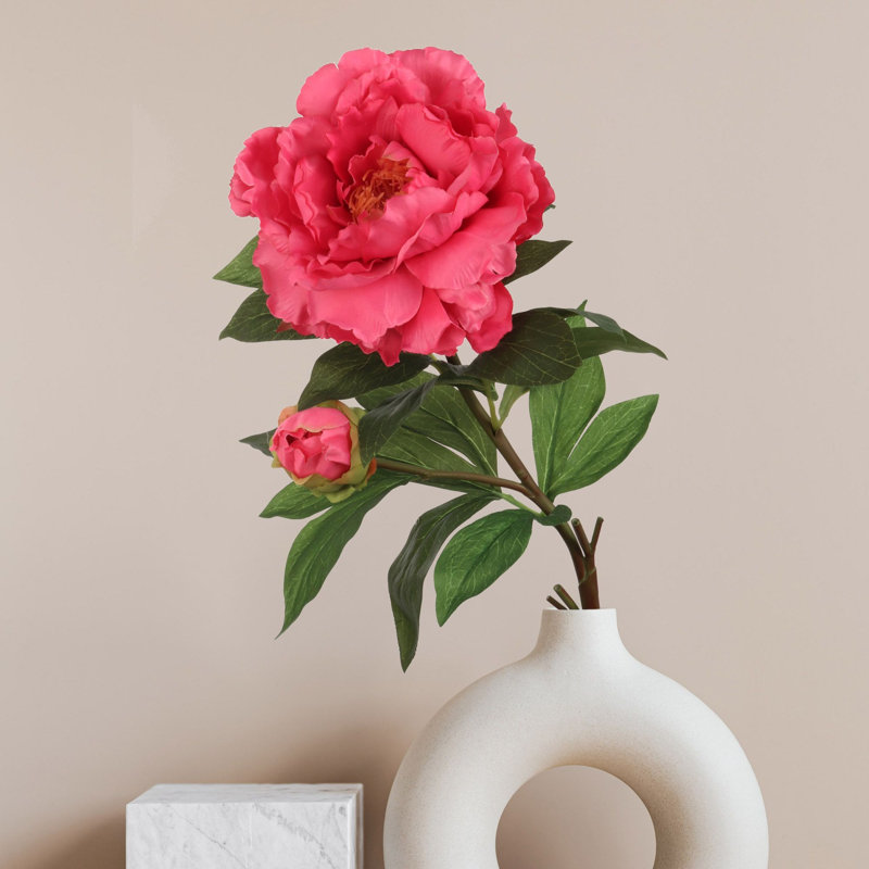 Tige de pivoine, Fuchsia, 3