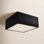Leni Square LED Outdoor Flush Mount