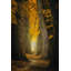 Chemin d'automne-5469593-31609498-31609499