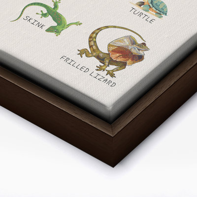 Les reptiles