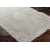 Don Oriental Machine Woven Polyester Area Rug in Gray/Slate