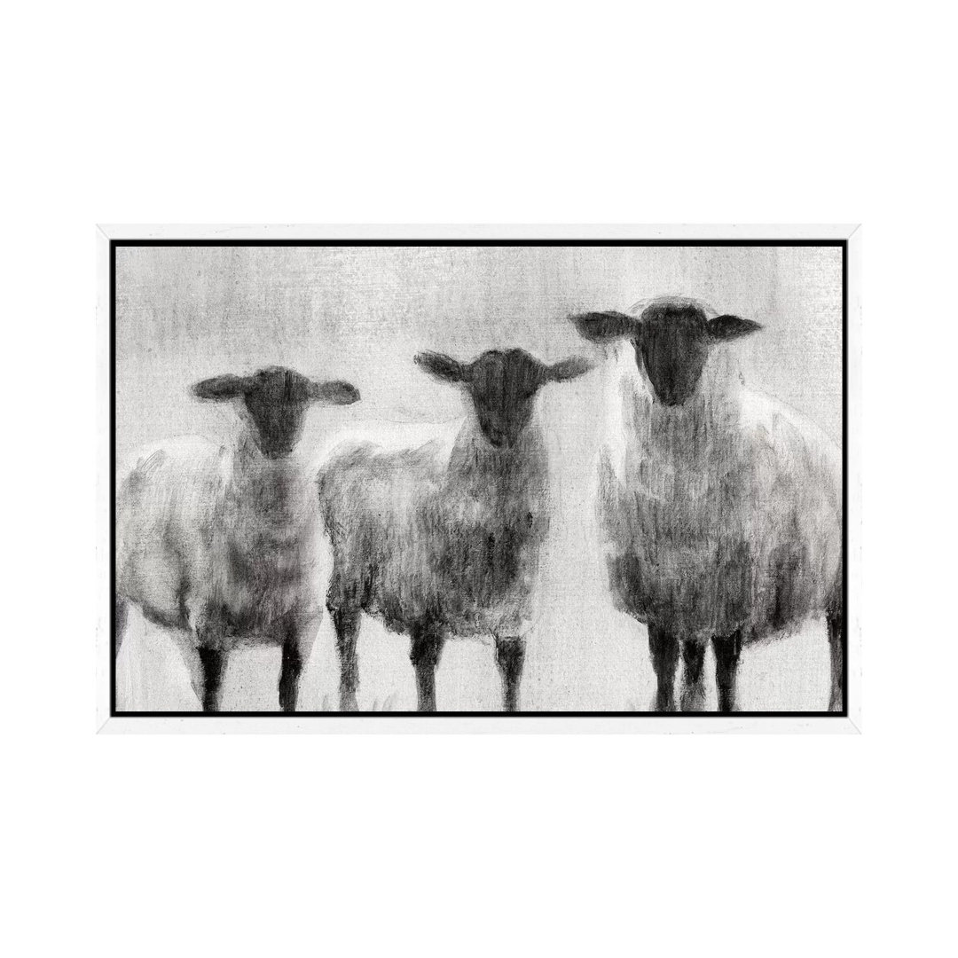 Rustic Sheep I