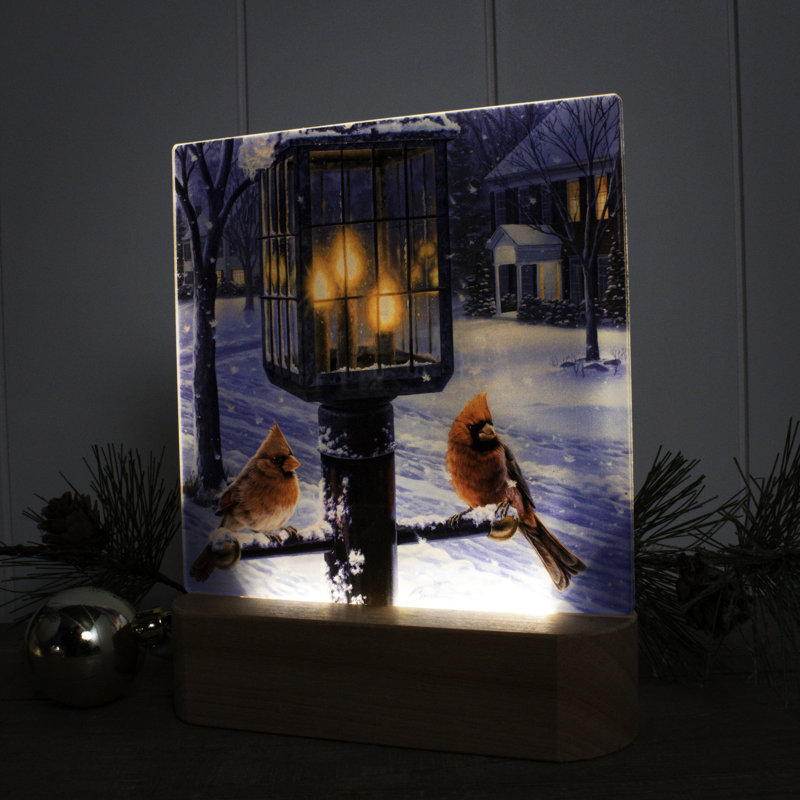 Chaleur de la veilleuse DEL de l'hiver