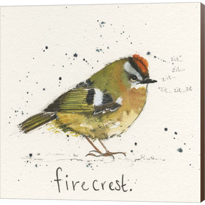 " Firecrest " by Michelle Campbell