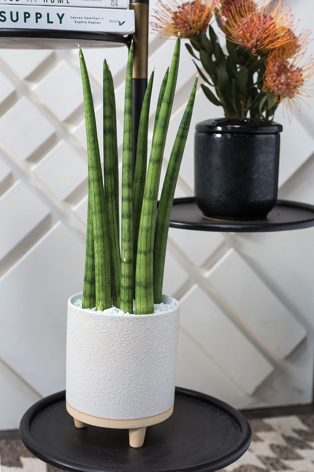 Fenna Handmade Ceramic Pot Planter, 6.75" H x 5.5" W x 5.5" D