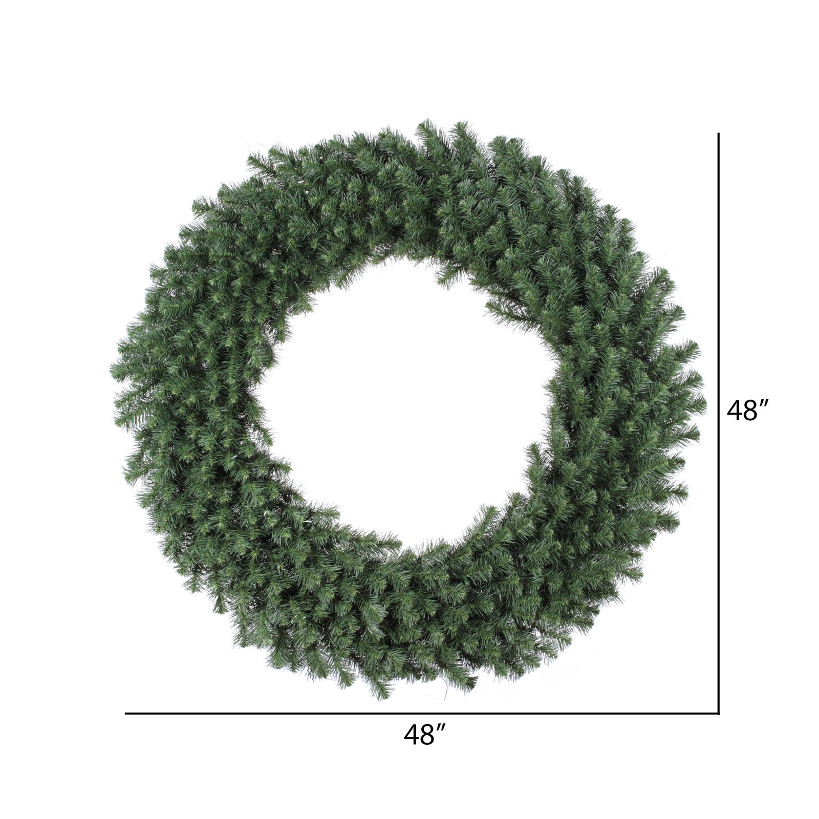 Alcott Hill® Douglas 60" Fir Wreath, 48" H