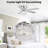 Caenas 52'' Ceiling Fan with Light Kit