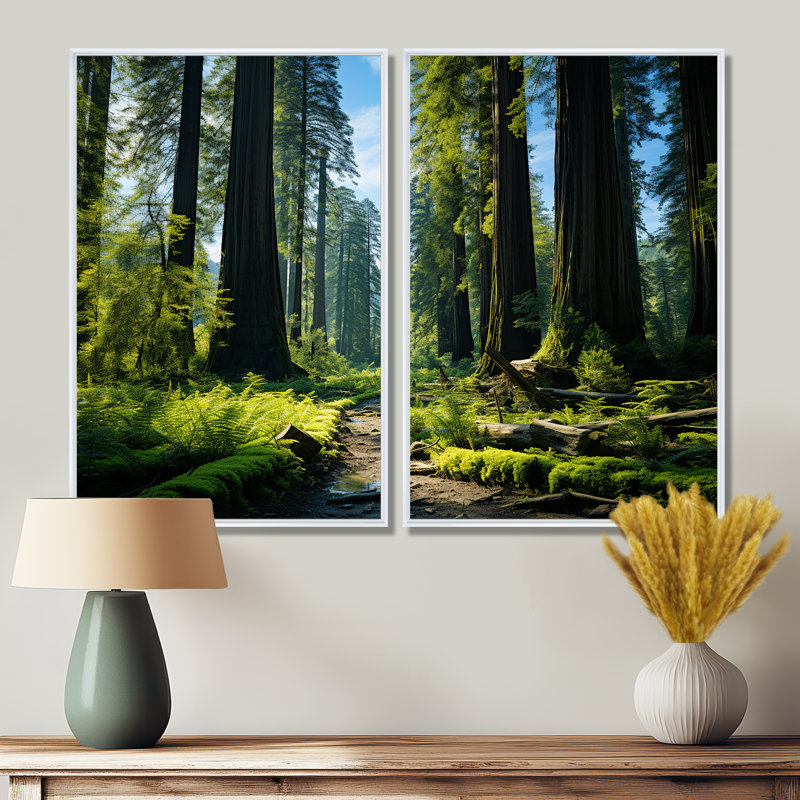 Redwood Giants Tree Forest II - art mural traditionnel multicolore, H 36 po x l 48 po, Blanc