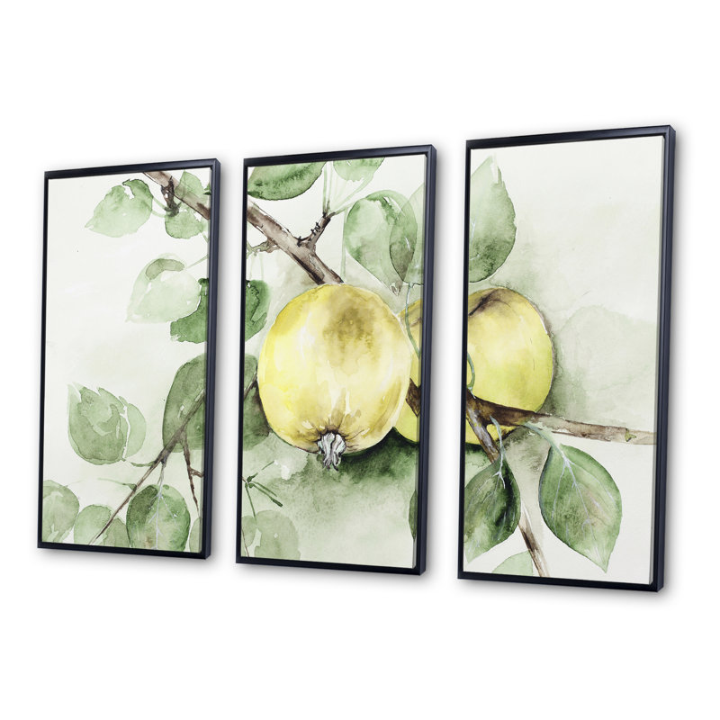 Vintage Green Appels - 3 pièces, reproduction encadrée sur toile, Cadre noir, H 28 po x l 36 po x P 1 po