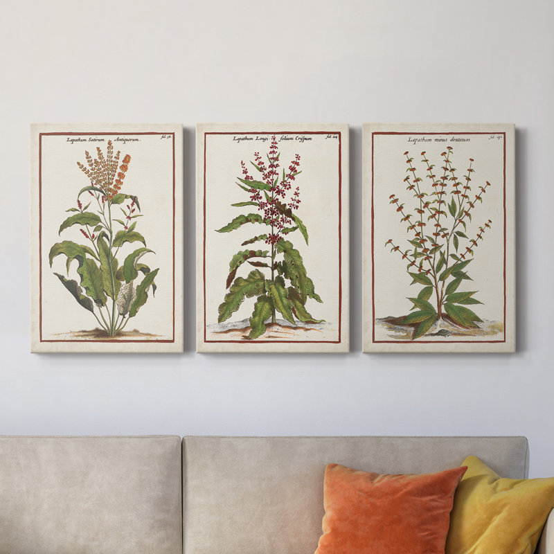 «Munting Botanicals I», toile tendue avec châssis de qualité supérieure - prête à être accrochée, H 27 po x l 48 po x P 1 po