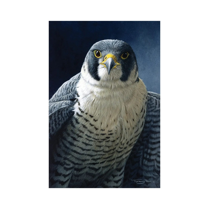 Peregrine par Jeremy Paul - Estampe numérique sur toile tendue avec châssis, H 18 po x l 12 po x P 1,5 po