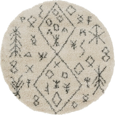 Southwestern Shag Area Rug
