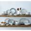 Bol à pâtes Noritake, 10 3/4 po, 30 oz.-41461087