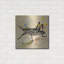 "Papier peint sauterelle" par Dean Russo-2007633586