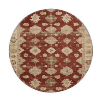 Tapis intérieur et extérieur brun Overdyed