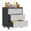 Armoire de rangement robuste en métal avec roulettes - Armoire à outils à 3 tiroirs-114043829