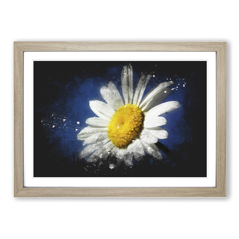 White Daisy Vol.5 - Picture Frame Graphic Art, 27cm H x 36cm W x 2cm D, Oak Framed