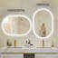 Ahmiyah Oval Lighted Framed Wall Mounted Accent Mirror-1595390810
