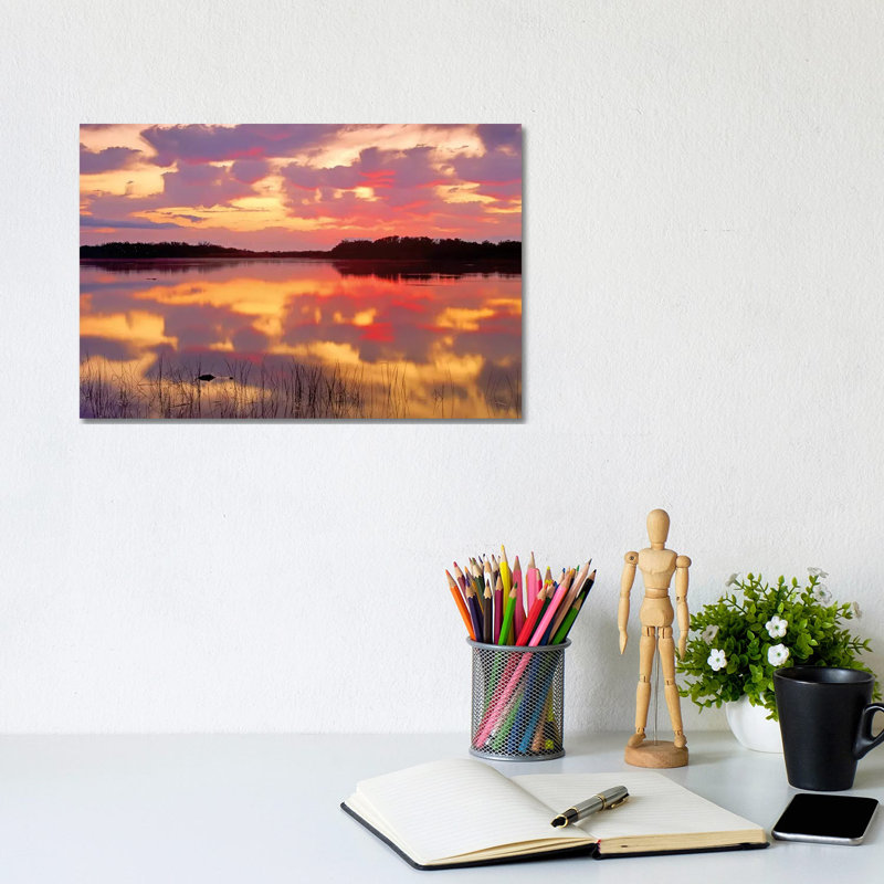 American Alligator Surfacing In Nine Mile Pond At Sunrise by Tim Fitzharris - Wrapped Canvas Print, 20.32 cm H x 30.48 cm W