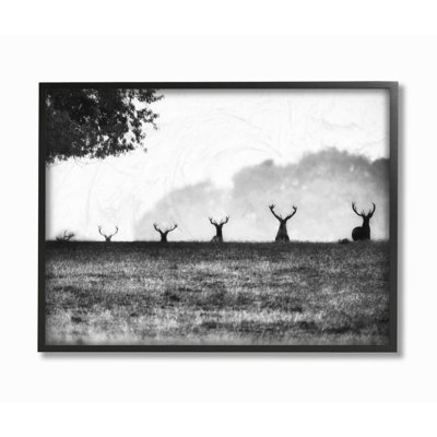 « cerf family photo », impression sur toile