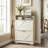 Shoe Storage Cabinet with 2 Flip Drawers