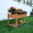Raised Garden Bed-122763036
