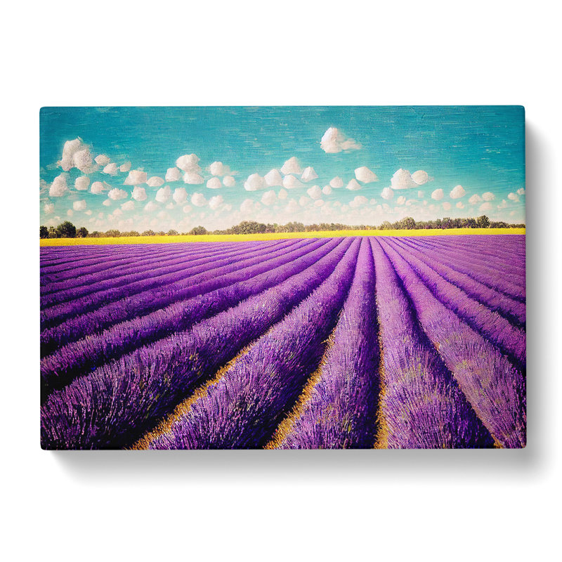 Dashing Lavender Flower Field - Wrapped Canvas, 50cm H x 76cm W x 3cm D
