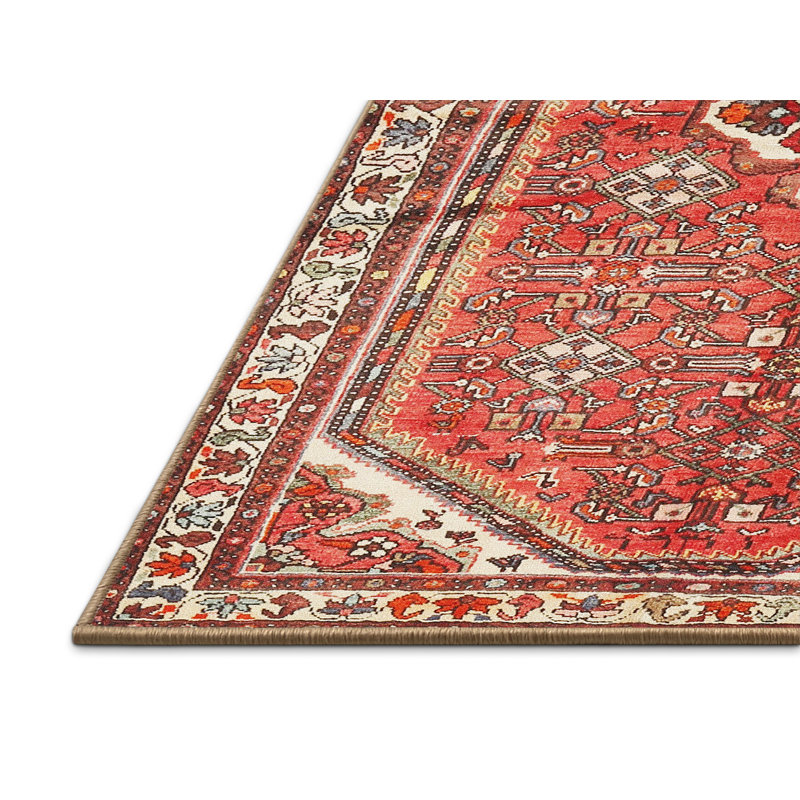 Oriental Indoor Rug, Rectangle 8' x 12'