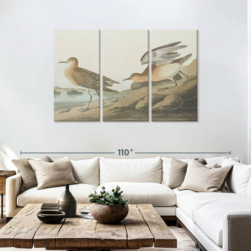 Brampt Buff Breasted Sandpiper, 48" H x 74" W