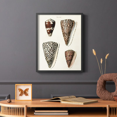 «Cone Shell Collection I», reproduction encadrée - bois massif