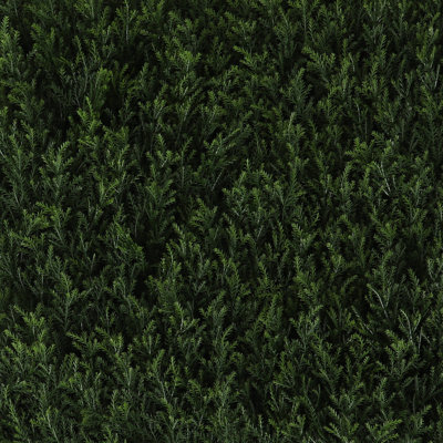 Panneaux de verdure vert hivernal Primrue (12)