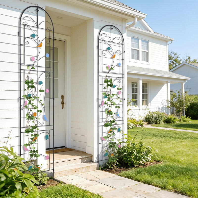 214cm H x 97.5cm W Iron Arched Trellis