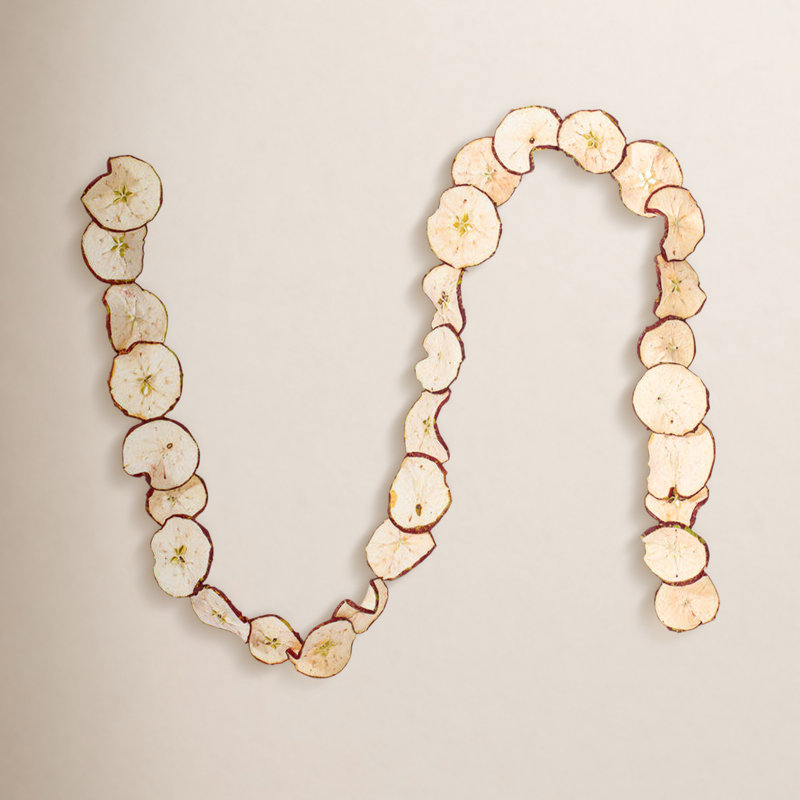 Natural Botanicals 10ft Natural and Dried Sliced Apple Garland.