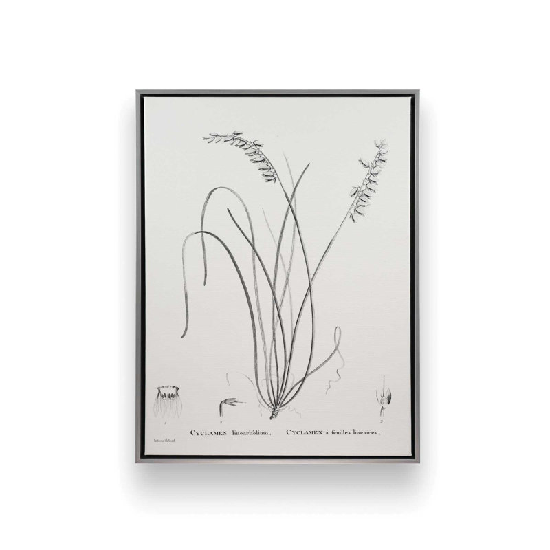 «Cyclamen» par lettres et doublure, reproduction d'art, 36 W x 48 H, Silver, Framed Canvas