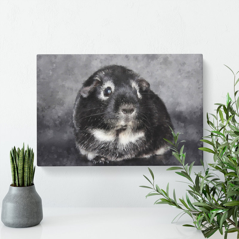 Guinea Pig - Wrapped Canvas Print, 40cm H x 60cm W x 3cm D