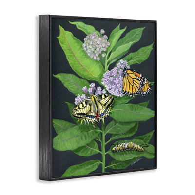 Vintage Milkweed & Art by Ann Jasperson bg-105