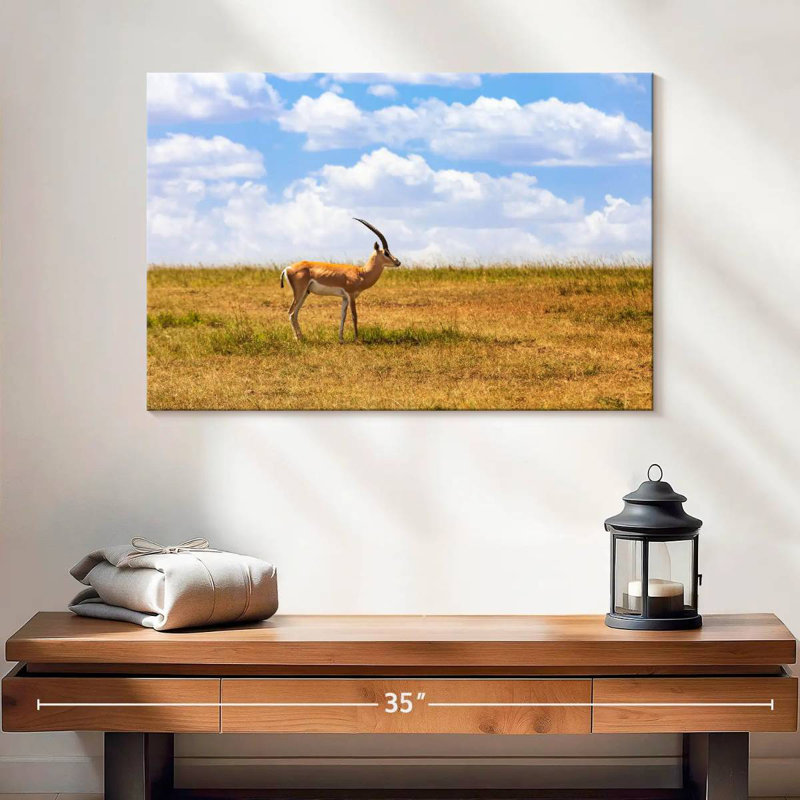 Gazelle Brampt dans la savane, H 16 po x l 24 po